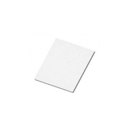 CARTULINA JISS CASCARON ENTERO DE 0.71X1.12MTS