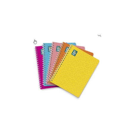 CUADERNO PROF SAZZ W O PLUS 100H RAYA CLASSIC