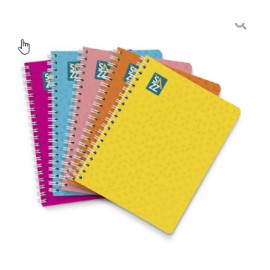 CUADERNO PROFESIONAL SAZZ PLUS 100H RAYA UNIVERSO