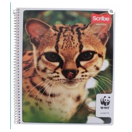 CUADERNO SCRIBE PROFESIONAL MIXTO MEGA PLUS 100H