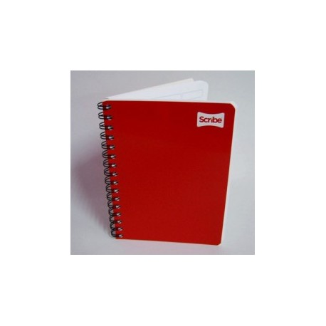 CUADERNO SCRIBE FRANCES RAYA ESPIRAL 100H CLASICO