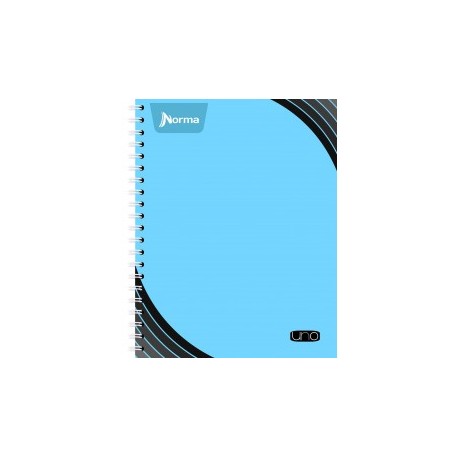CUADERNO PROFESIONAL NORMA UNO CUADRO CHICO 100H