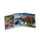 CUADERNO COLLAGE COSIDO NORMA COLOR 360o TAREAS 48HJ