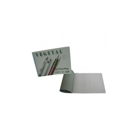 BLOCK VEGETAL CARTA 25H 90/95GRS IMPERIAL