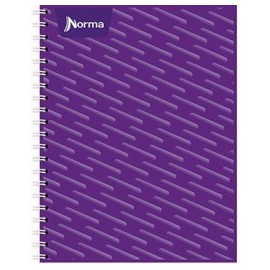 CUADERNO PROFESIONAL NORMA ESPIRAL DOBLE CUADRO CHICO 100HJ (PIEZA)