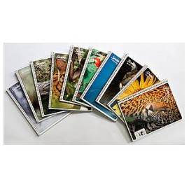 CUADERNO PROFESIONAL CUADRO GRANDE MEGA PLUS 100 HOJAS SCRIBE (PIEZA)