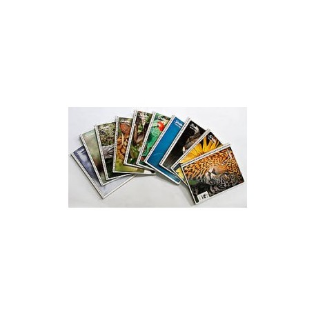 CUADERNO PROFESIONAL CUADRO GRANDE MEGA PLUS 100 HOJAS SCRIBE (PIEZA)