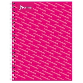 CUADERNO PROFESIONAL NORMA CUADRO GRANDE 100HOJAS (PIEZA)