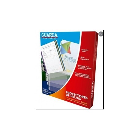 Protector carta guarda cristal 100pz