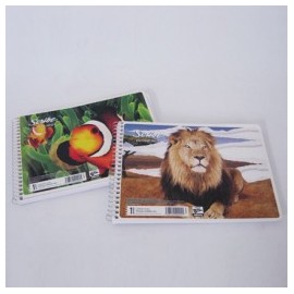 CUADERNO ITALIANO SCRIBE RAYA ESPIRAL 100H MEGA (PIEZA)