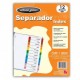 SEPARADOR BRISTOL WILSON JONES 12DIVISIONES CEJA COLORES  (PIEZA)