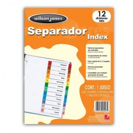 SEPARADOR BRISTOL WILSON JONES 12DIVISIONES CEJA COLORES  (PIEZA)