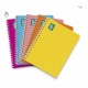 CUADERNO PROF SAZZ W O PLUS 100H RAYA CLASSIC