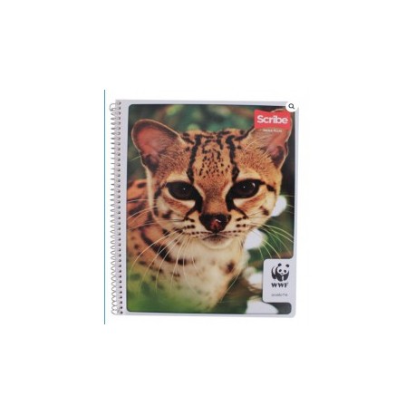 CUADERNO SCRIBE PROFESIONAL MIXTO MEGA PLUS 100H (PIEZA)