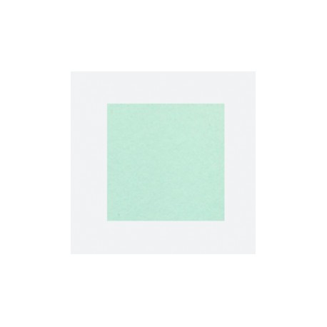 CARTULINA UNIBRISTOL VERDE 50X65 180GRS