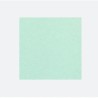 CARTULINA UNIBRISTOL VERDE 50X65 180GRS