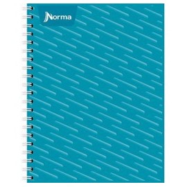 CUADERNO PROFESIONAL NORMA ESPIRAL DOBLE 100H RAYA