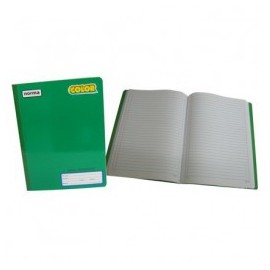 CUADERNO PROFESIONAL NORMA COSIDO COLOR 360 RAYA 100H