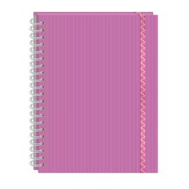 CUADERNO PROFESIONAL ESPIRAL DOBLE 100H C7MM ARCOIRIS PRINTAFORM