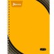CUADERNO PROFESIONAL ESPIRAL NORMA UNO CUADRO GRANDE 100H (PIEZA)