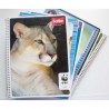 CUADERNO PROFESIONAL BLANCO MEGA PLUS 100 HOJAS SCRIBE (PIEZA)