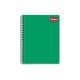 SEPARADOR BRISTOL WILSON JONES 12DIVISIONES CEJA COLORES  (PIEZA)