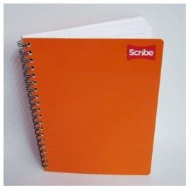 CUADERNO PROFESIONAL RAYA ESPIRAL 100H CLASICO