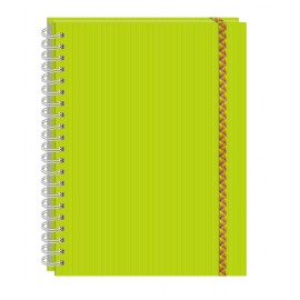 CUADERNO PROFESIONAL ESPIRAL DOBLE 100H RAYA ARCOIRIS PRINTAFORM